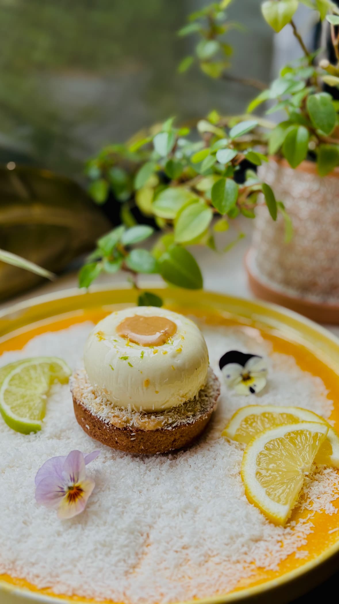 La nouveauté citron coco