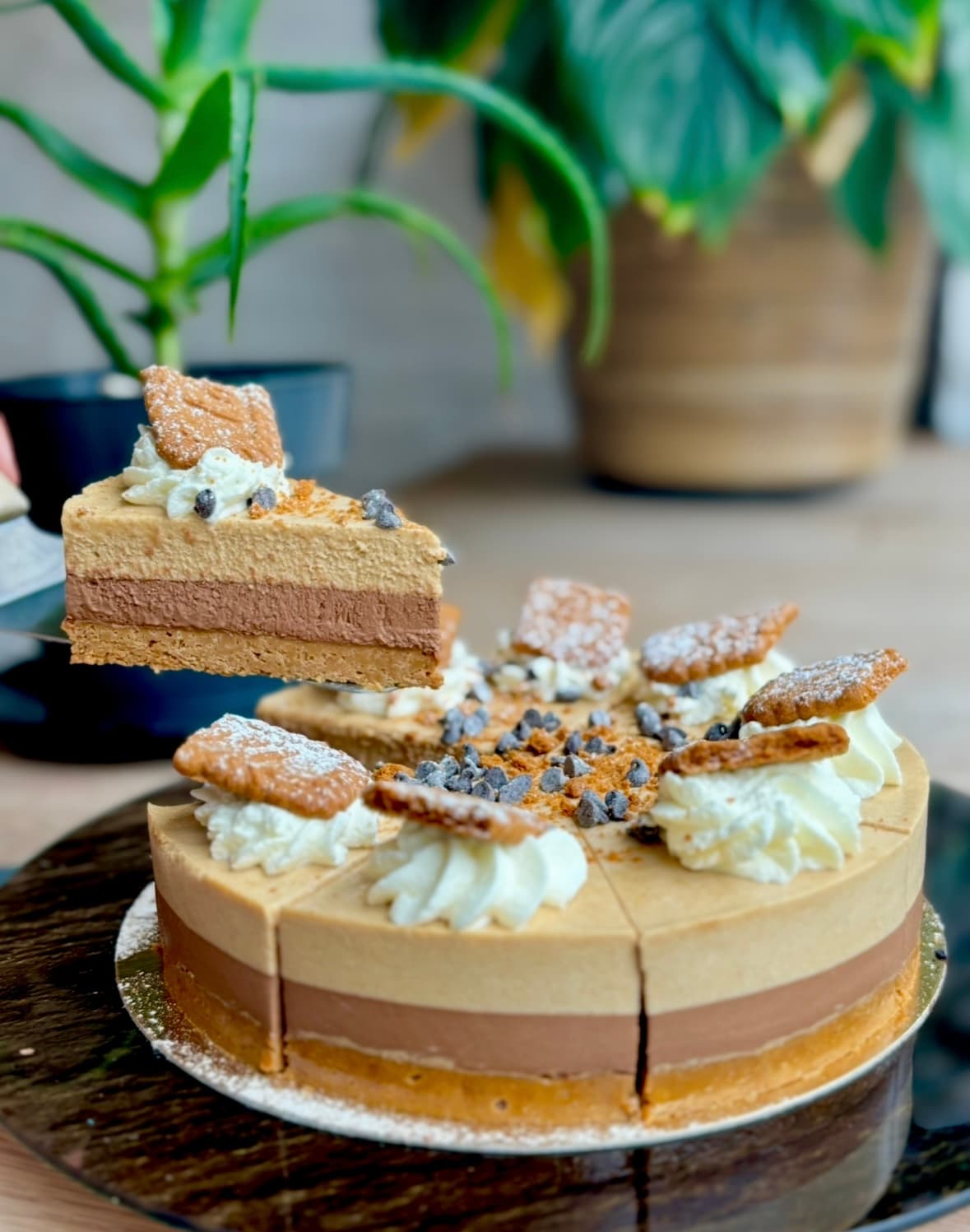 l'entremet au speculos et chocolat